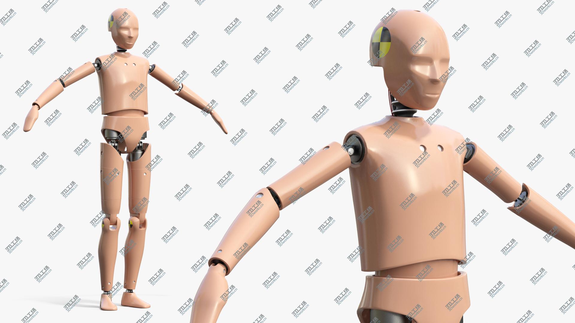 images/goods_img/202104093/Teenager Crash Test Dummy Rigged 3D/4.jpg